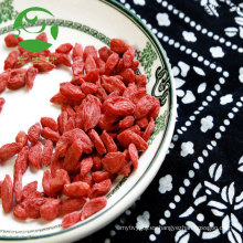 Proveedores de bayas de Goji chinas secas orgánicas certificadas bayas de goji a granel Matrimonio al por mayor